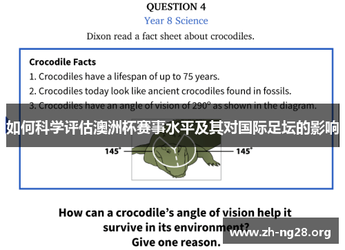 如何科学评估澳洲杯赛事水平及其对国际足坛的影响 如何科学评估澳洲杯赛事水平及其对国际足坛的影响